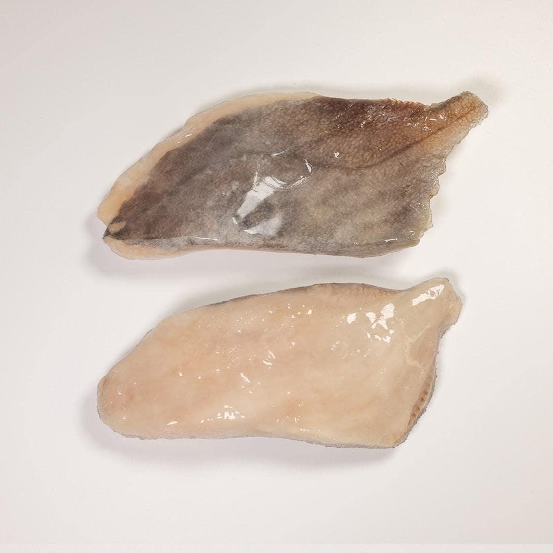 John Dory fillet - Cover Image