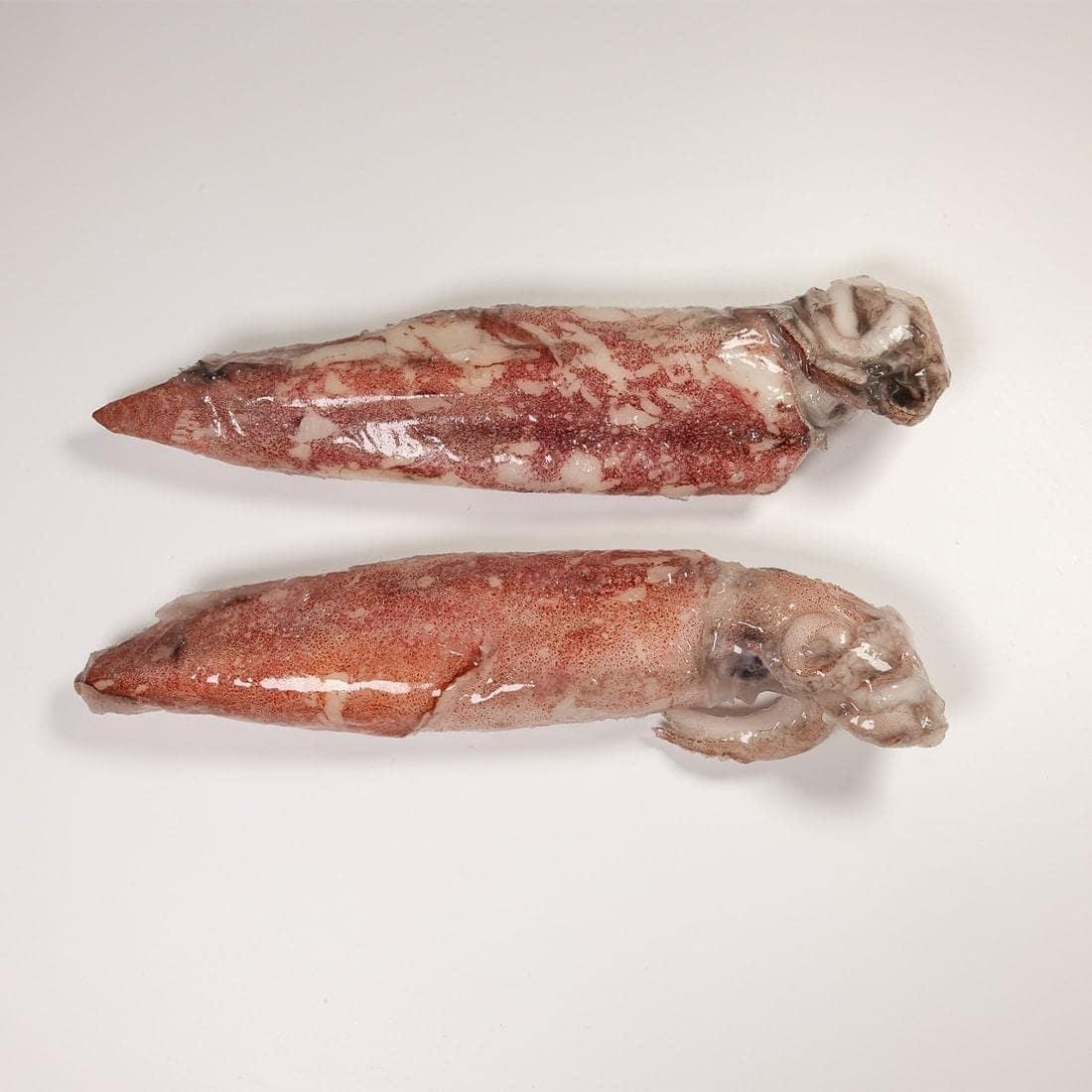 Squid - Cover Image