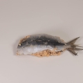 Image 1 of Sardines a 'beccafico' (stuffed)