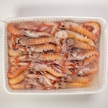 Image 3 of Scampi from Mazara del Vallo