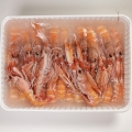 Image 2 of Scampi from Mazara del Vallo