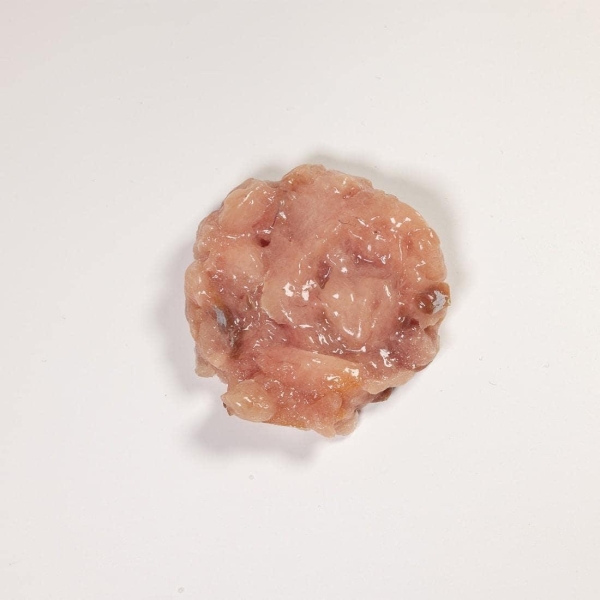 Amberjack Tartare