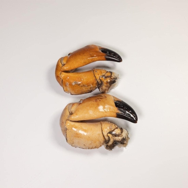Brown Crub claws