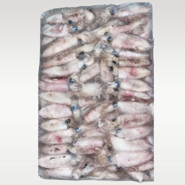 Calamaretti from China