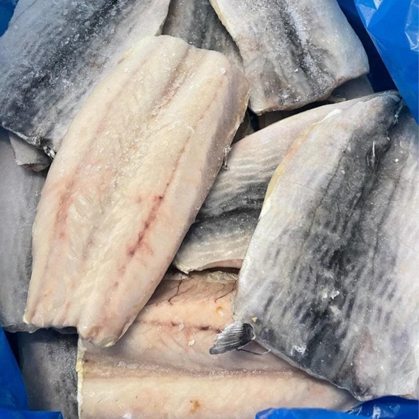 Mackerel fillet
