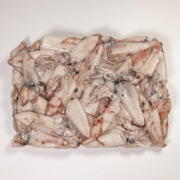 Moroccan baby squid