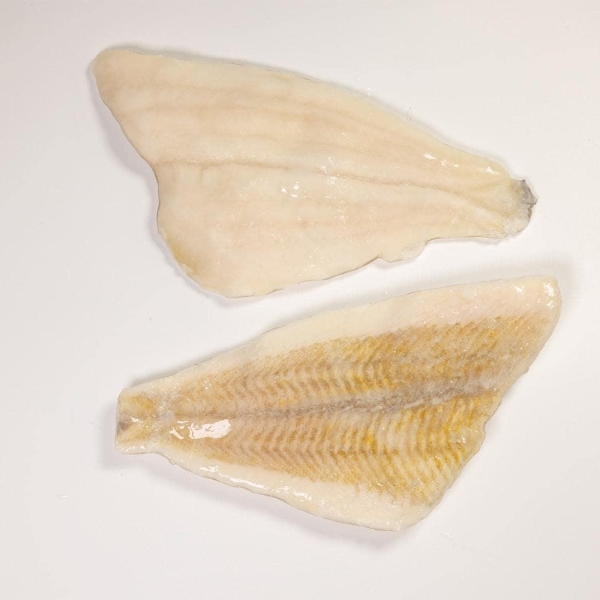 Plaice fillet