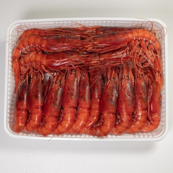 Red King Prawn from Mazara del Vallo
