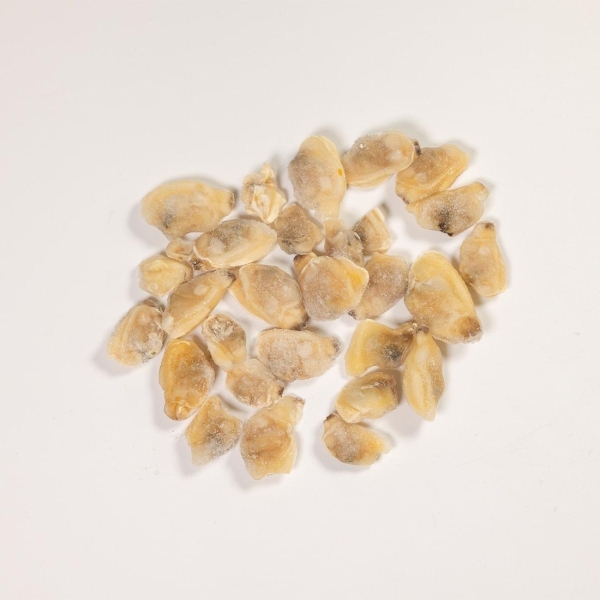 Shucked clams